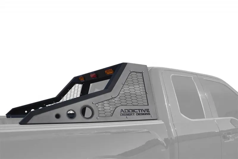 Addictive Desert Designs 17-18 Ford F-150 Raptor Honeybadger Chase Rack 1