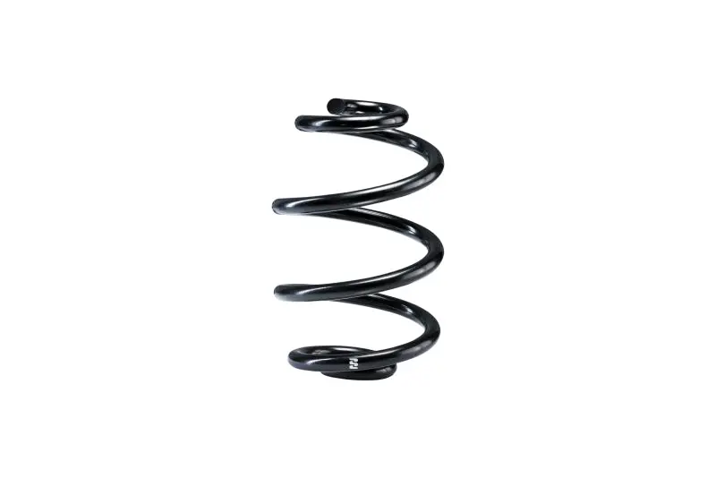 Eibach 04-10 Bmw X3 Rwd / Xdrive E83 Single Rear Spring 1