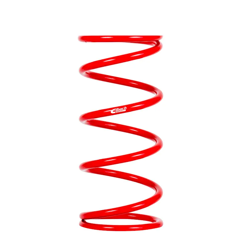 Eibach Conventional Rear Spring 1