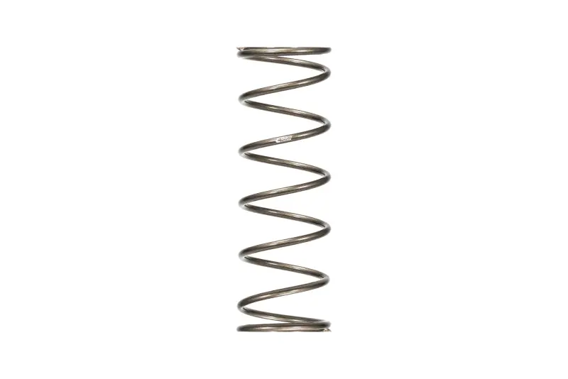 Eibach Platinum Rear Spring 1