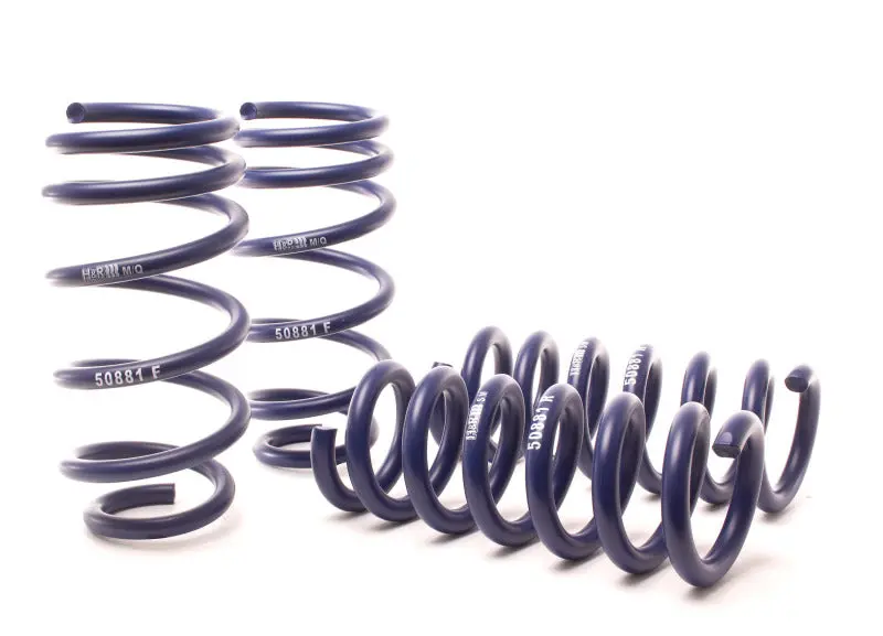 H&R 11-14 Dodge Charger Rt (2Wd) Rt Max V8 Sport Spring 1