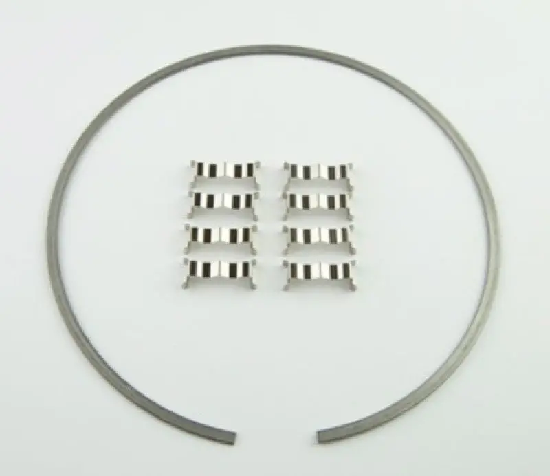 Wilwood Kit Snap Ring (1) And Wear Plates (8) Dynamic Drag Rotor 1