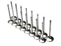 Brian Crower 37.10Mm Intake Valves For Nissan Ka24De Engines 1